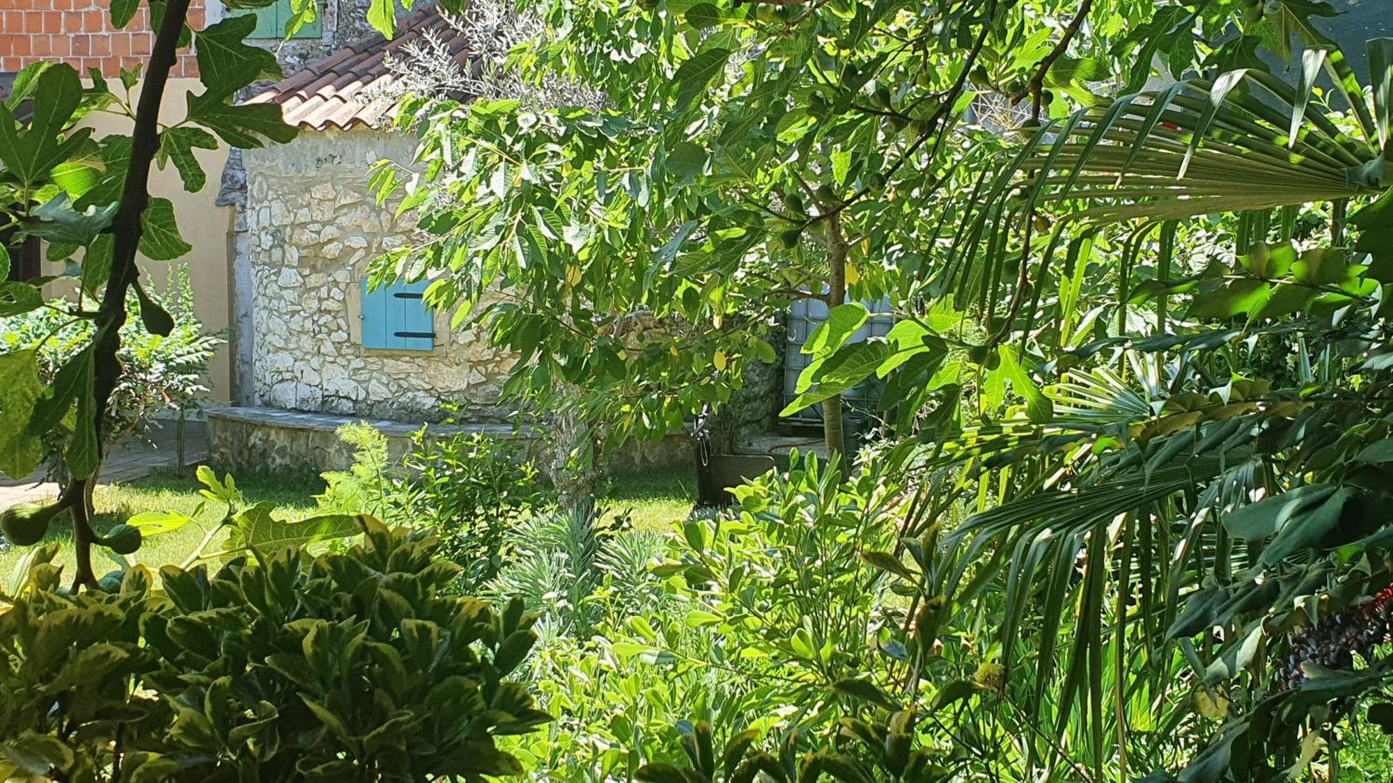 Villa Kazun With Private Pool And Two Gardens Marčana Kültér fotó